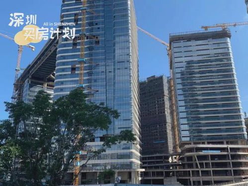深圳一新盤(pán) 爆雷 開(kāi)發(fā)商破產(chǎn)重整,準(zhǔn)備收房的準(zhǔn)業(yè)主哭了...
